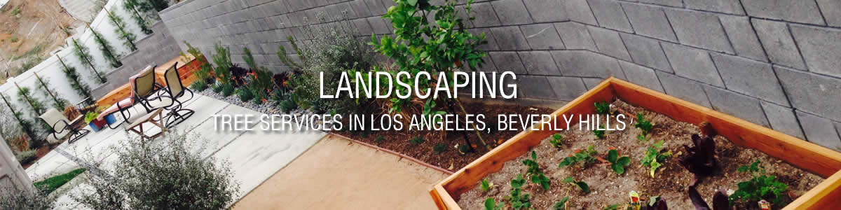 Gaspar Landscaping & Tree Service - Tree Service in Riverside